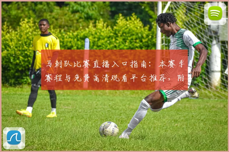 马刺队比赛直播入口指南:本赛季赛程与免费高清观看平台推荐,附回放方法